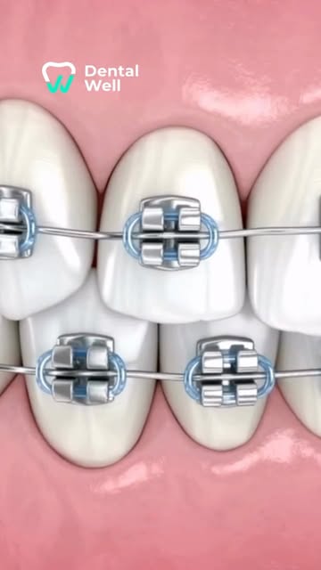 Dental Well Ecuador